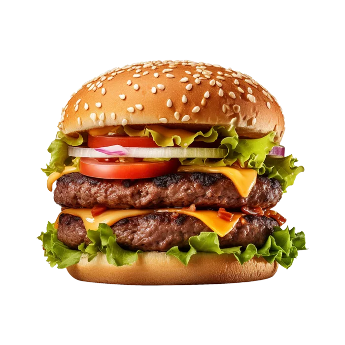 HIPPO SPL CHCKEN OR BEEF BURGER