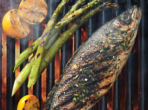 Loup de mer 