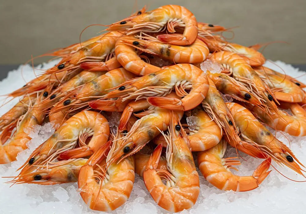 Gambas sauce