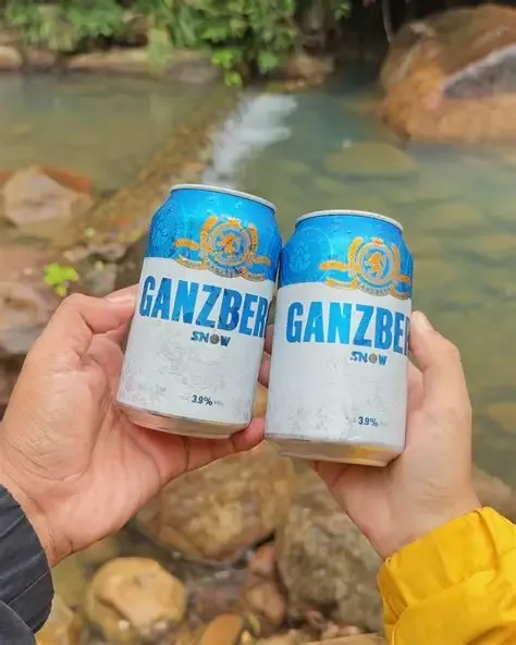 Ganzberg Snow