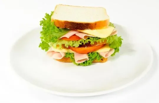 SANDWICH
