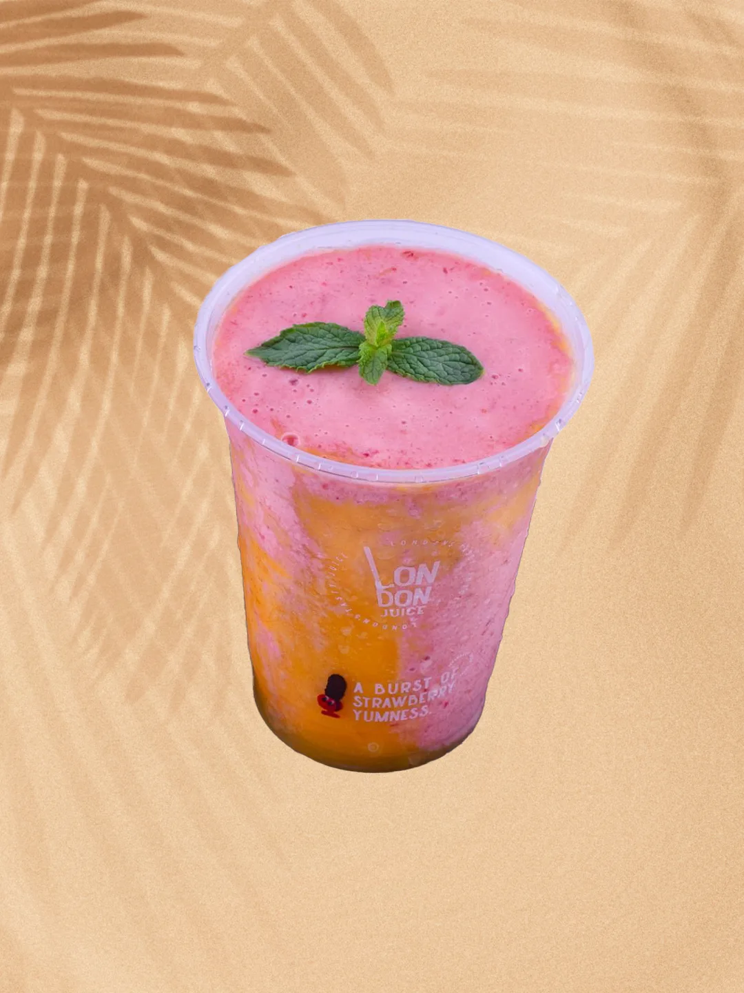Fruit Cocktail
